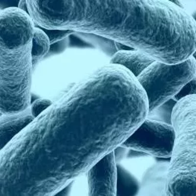 Timeline: Historia de la biología celular