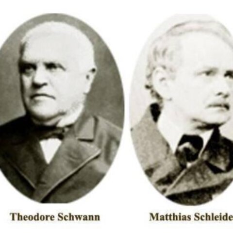 Matthias Schleiden y Theodor Schwann