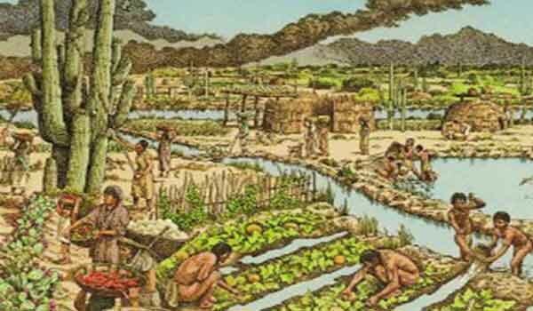 HOHOKAM (Oasisamerica)