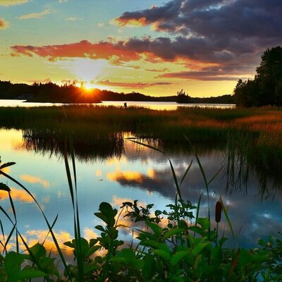 Timeline: Contexto histórico de la ecología