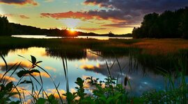 Timeline: Contexto histórico de la ecología