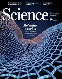 La influyente revista ‘Science’ reconoce el hallazgo de la forma de las proteínas por inteligencia artificial.