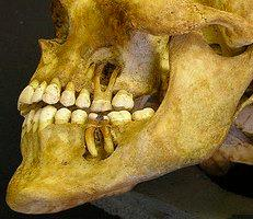 1201-1300 a.c siglo XIII