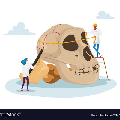 Timeline: Theories of anthropology