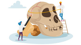 Timeline: Theories of anthropology