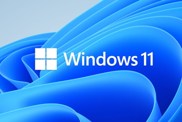 Windows 11