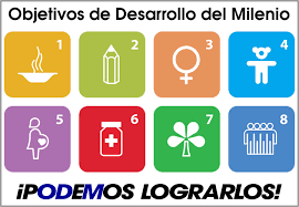 Desarrollo del Milenio.