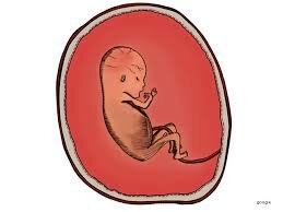 la memoria crítica en el nivel de los deseos y/o motivaciones