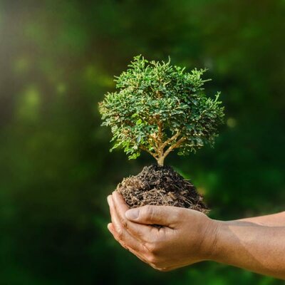 Timeline: ANTECEDENTES DE LA ECOLOGÍA