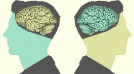 Timeline: Psicologia diferencial