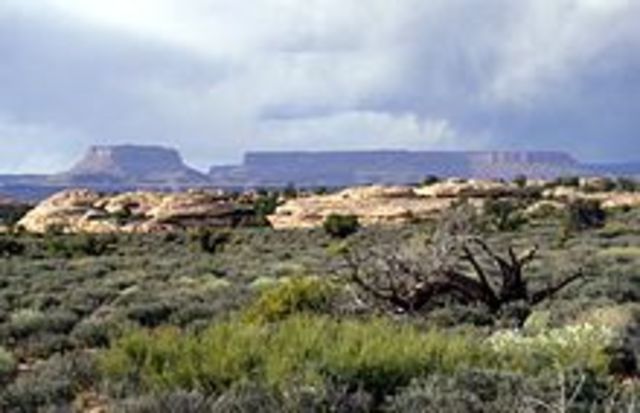 Canyonlands National Park is opened.