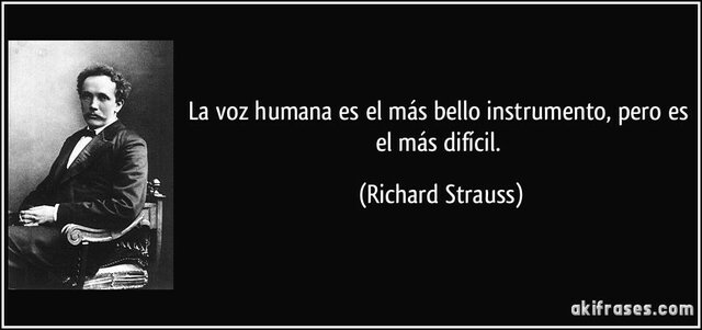Pensaments de Strauss