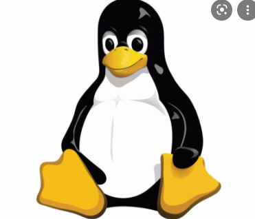 LINUX