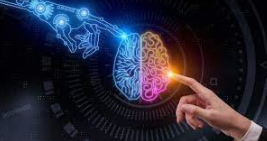 Conforme a su proposito