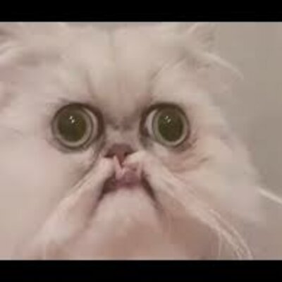 Timeline: Social Studies