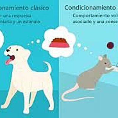 Timeline: Origen y Evolución del Condicionamiento Clásico y Condicionamiento Operante