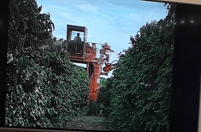 Lançamento da colheitadeira de café