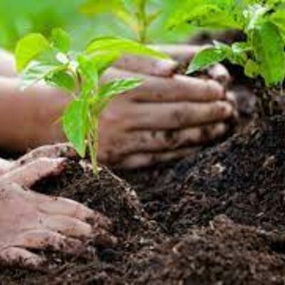 Timeline: EDUCACIÓN AMBIENTAL EN COLOMBIA