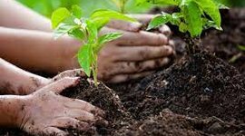 Timeline: EDUCACIÓN AMBIENTAL EN COLOMBIA