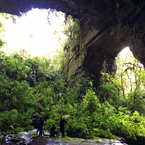 Declaración Primer Parque Nacional Natural "Guacharos"