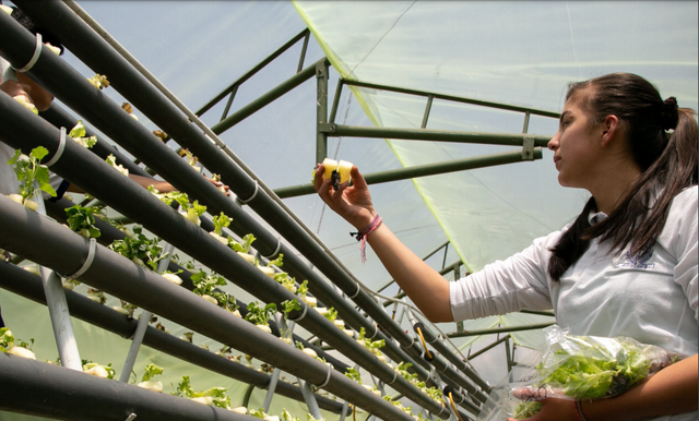 PRAE – Proyectos Ambientales Escolares