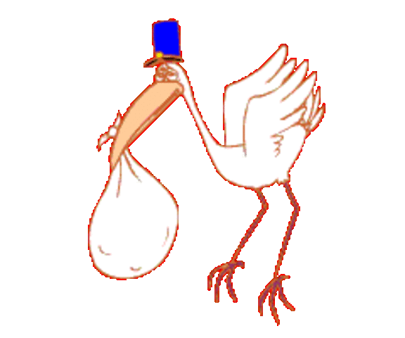 yo naci en el  22 de Mayo, 1999