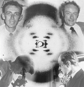 Definición de Osborn