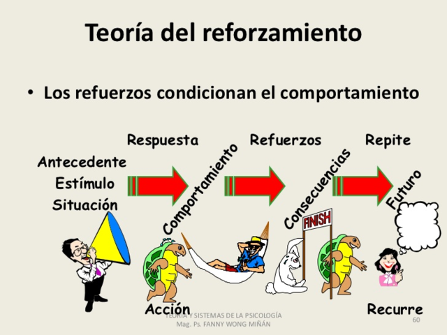Programa de reforzamineto