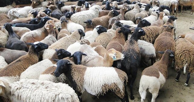 Época de la conquista