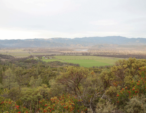 Proclamation of 1763