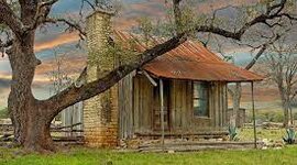 Timeline: THE DROVER'S WIFE