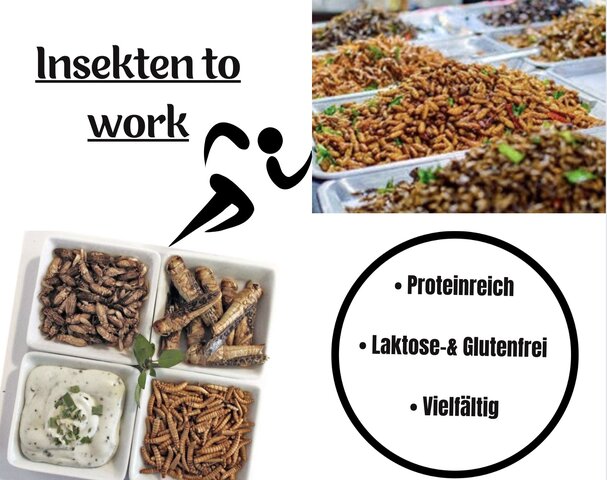Insekten to work