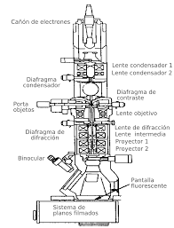 Microscopio de electrones