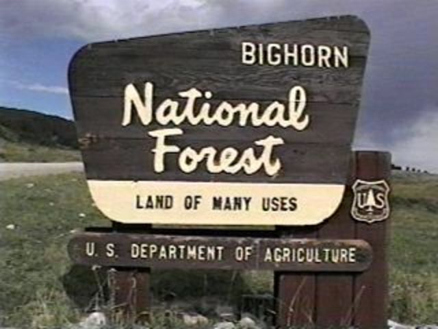 National Forest