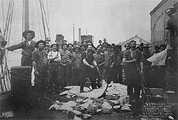 Halibut Treaty (+2, Political)