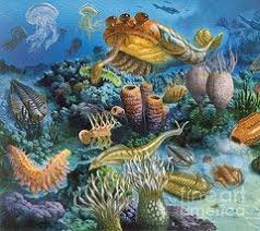 Cambrian Period
