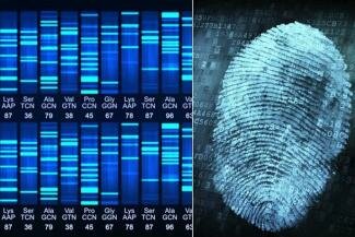 DNA Fingerprinting