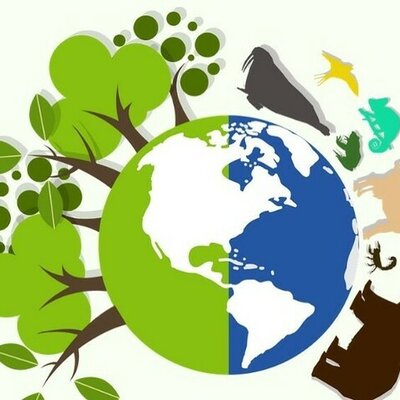 Timeline: HISTORIA DE LA EDUCACIÓN AMBIENTAL EN COLOMBIA