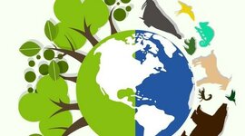 Timeline: HISTORIA DE LA EDUCACIÓN AMBIENTAL EN COLOMBIA