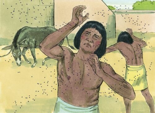 Tercera plaga, Invasión de los mosquitos