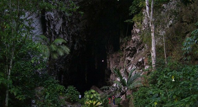 Parque Nacional Natural Cueva de los Guácharos