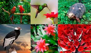 LEY DE CONSERVACIÓN DE FAUNA Y FLORA SILVESTRE