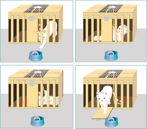 Ley del Efecto de Thorndike