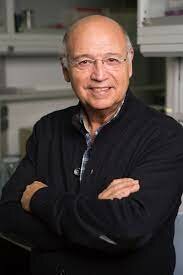 Concepto de salud según Gil Hernández