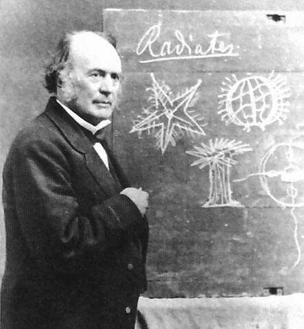 James decidió unirse a la expedición que Louis Agassiz