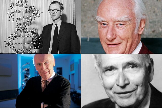 Erwin Chargaff, James Watson, Francis Crick y Maurice Wilkins