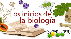 Timeline: HISTORIA DE LA BIOLOGIA E HISTORIA DE LA TEORIA CELULAR