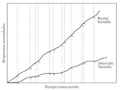 Registro acumulativo de Skinner