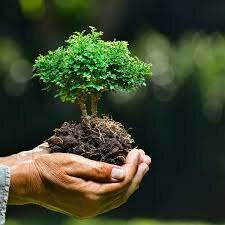 la adquisición de una consciencia para la conservación, protección y mejoramiento del medio ambiente