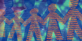 DNA Used to Catch A Criminal